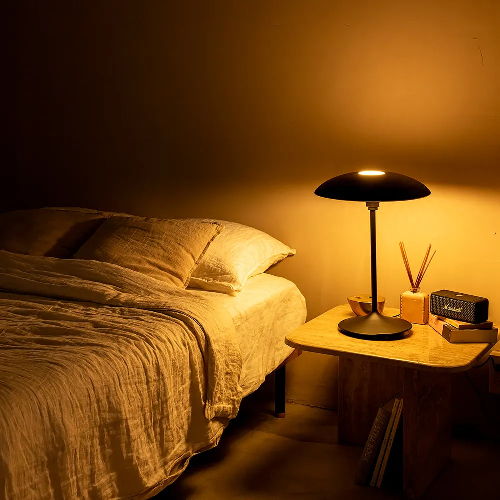 Manta Ray | table lamp