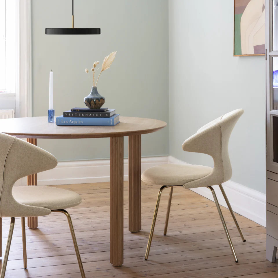 Time Flies | dining chairs (2脚set)