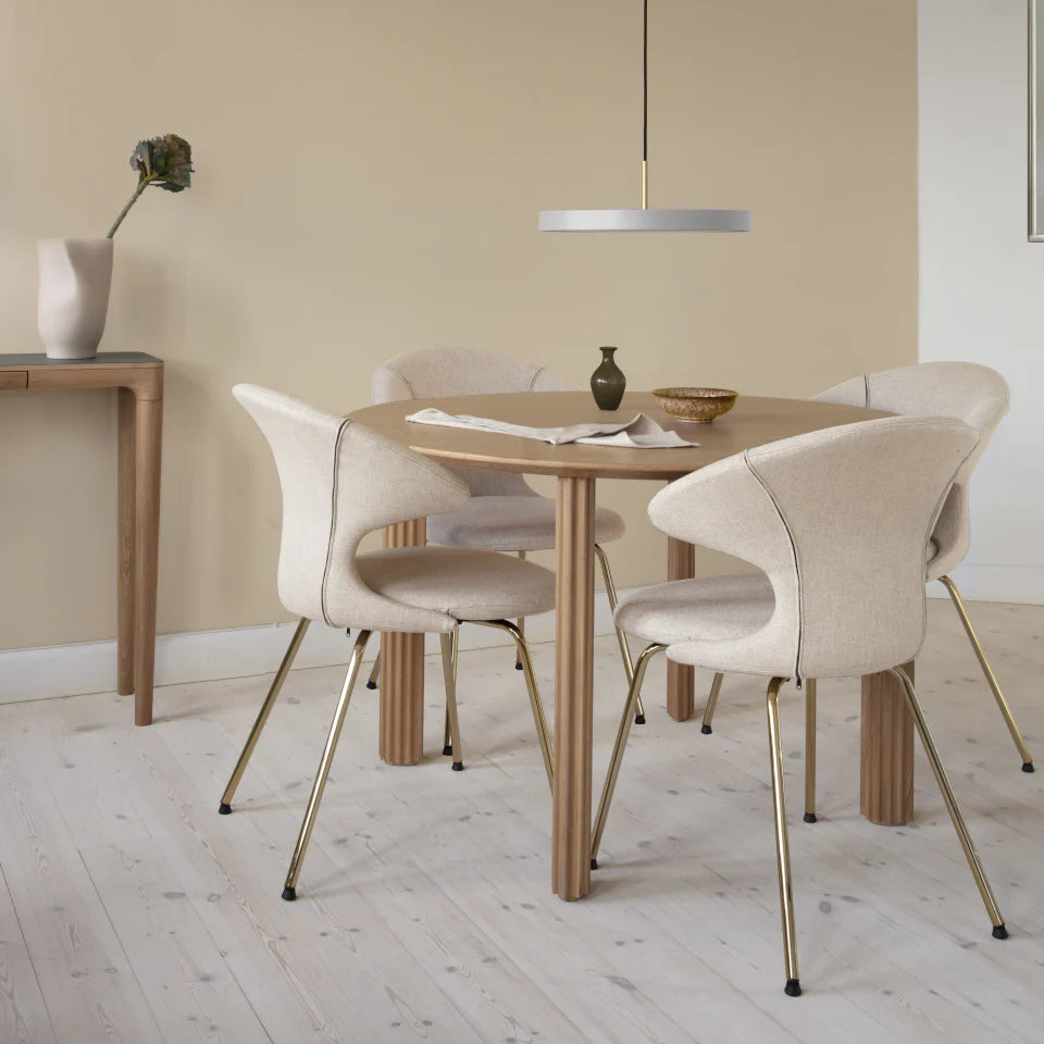 Time Flies | dining chairs (2脚set)