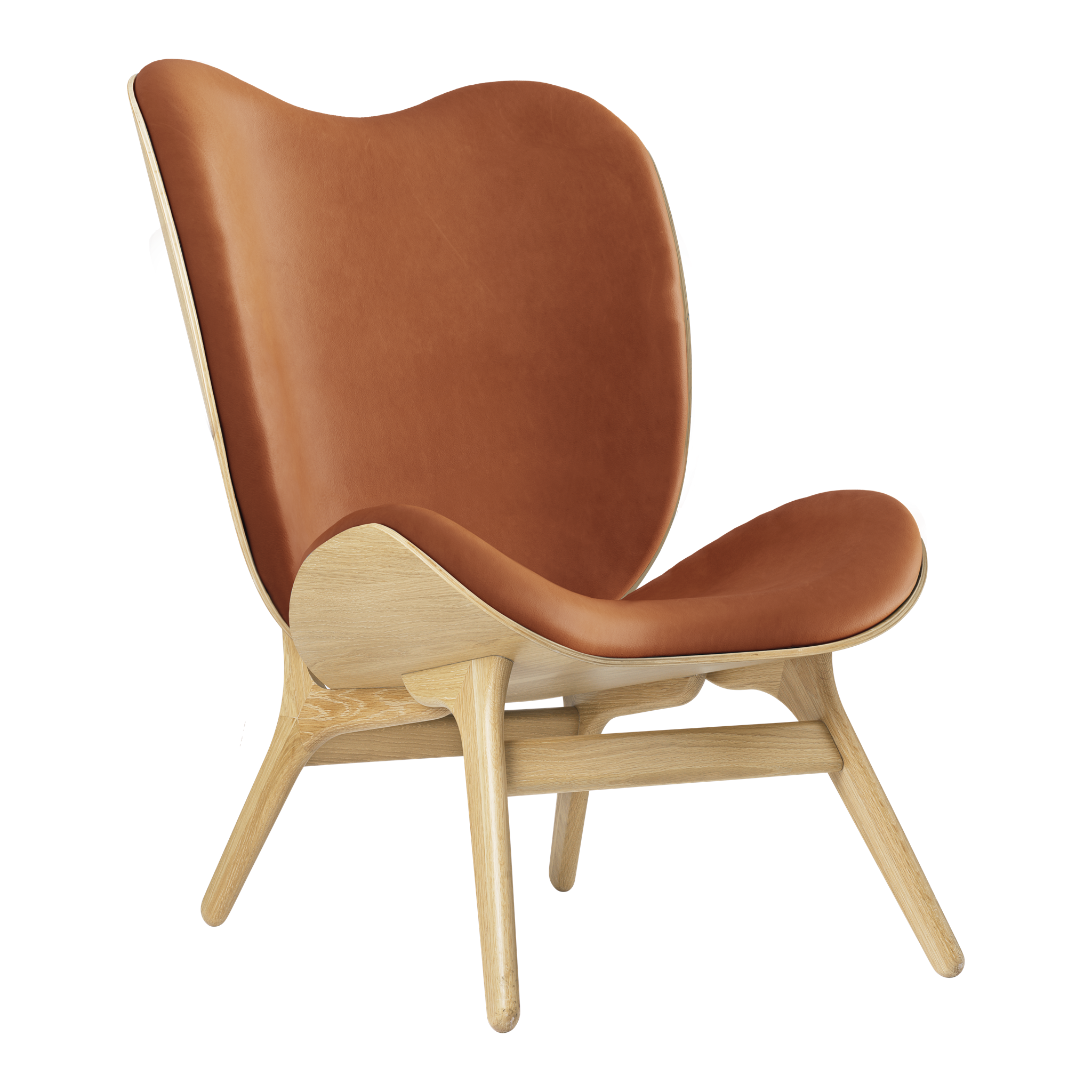 5577C5577-DS21002-NS