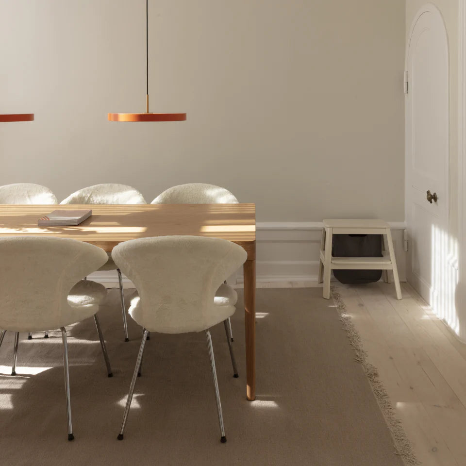 Time Flies | dining chairs (2脚set)