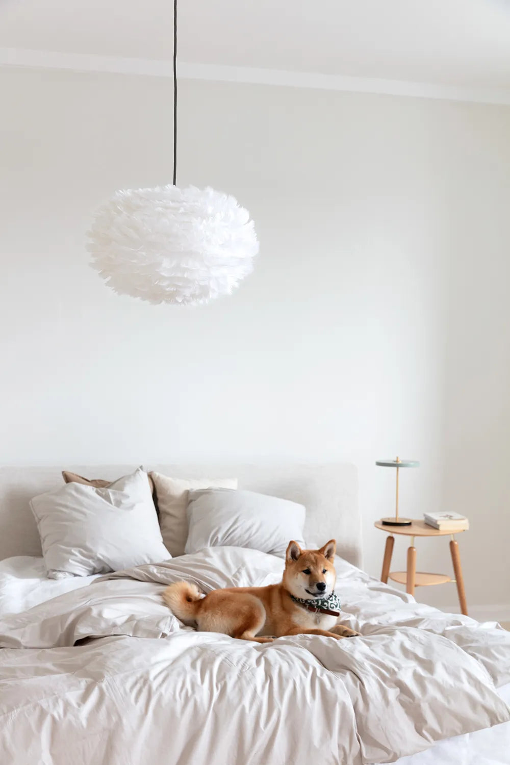 Eos | pendant lamp