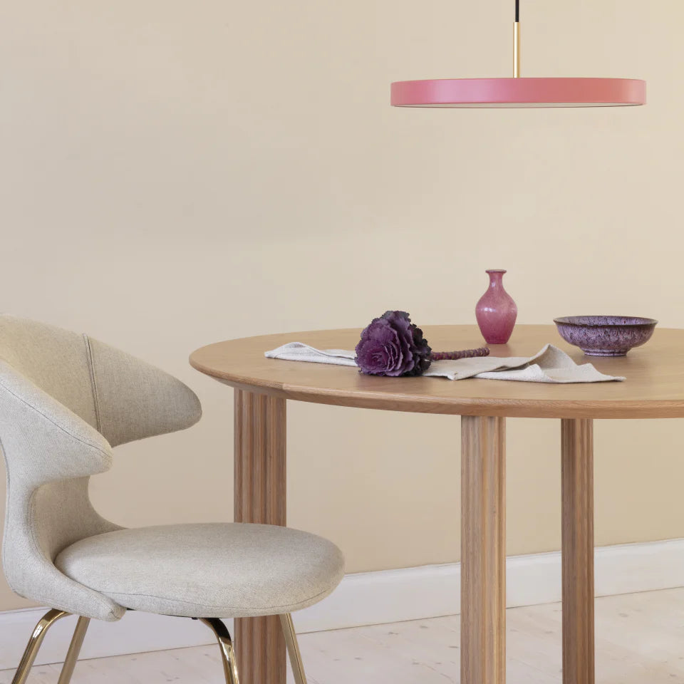 Time Flies | dining chairs (2脚set)