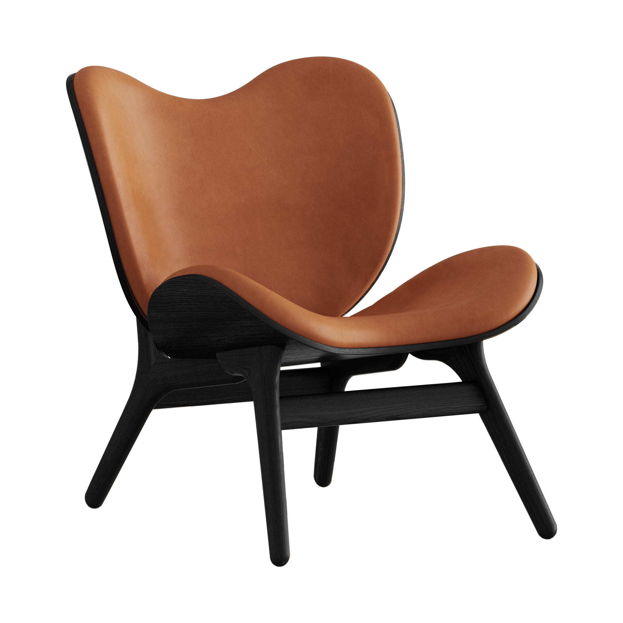 5102C5501-DS21002-NS