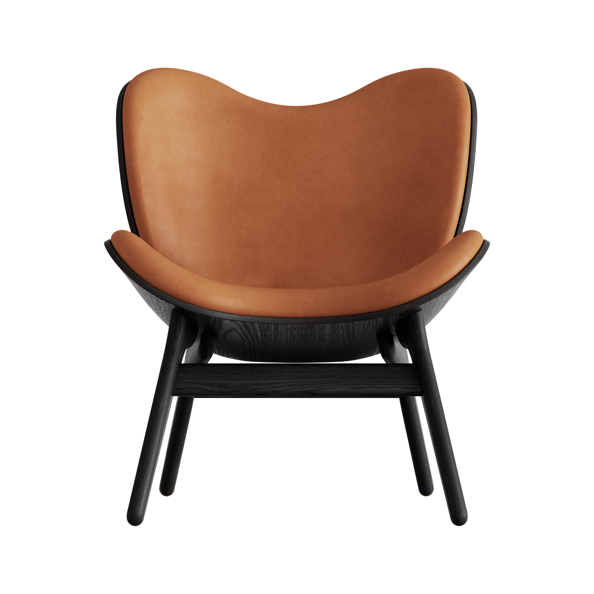 5102C5501-DS21002-NS